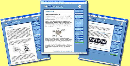 PenileSecrets -#2 Penis Exercise Program