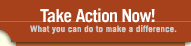 Take Action Now !!!